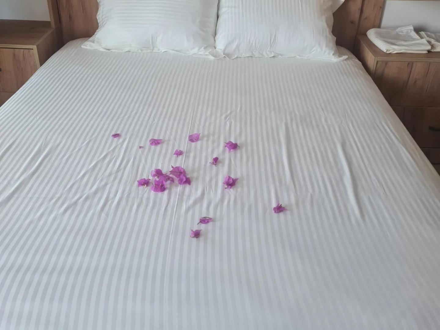 Sol Apartments Gjiri Lalzit Dıraç Dış mekan fotoğraf